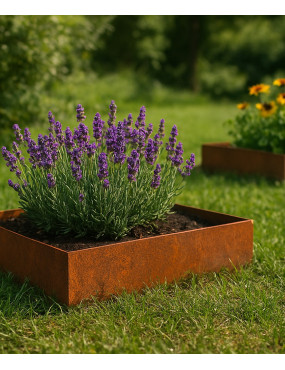 Carré potager fleuri acier corten
