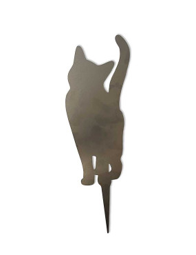 lot chat debout jardin